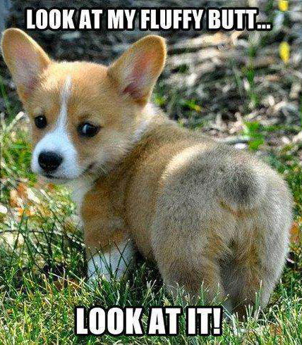 InternetButt.com
